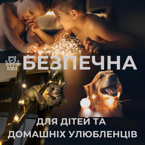 Гирлянда на батарейках роса 2в1 Niki Light 10 метров 100 лед пульт 8 режимов гирлянда от батереек и USB Белый Роса 2в1 10м Б фото