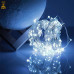 Гірлянда роса 10 метрів гірлянда капля роси з режимами 100 лед гірлянда на пульті вулична гірлянда 220в біла