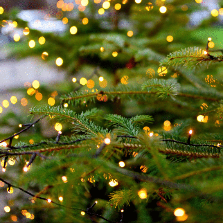 Де купити гірлянди в Україні – огляд ринку і поради